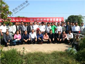 水稻高产管理观摩会