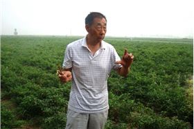 种田大户:河南省焦作市 翟先生