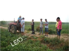 李总、家辉、小付还有技术员天美到田里 李总、家辉、小付还有技术员天美到田里