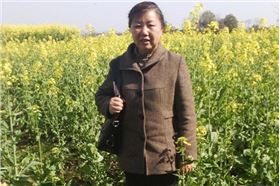 真心感谢领先公司