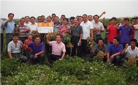 花生拌种剂观摩会