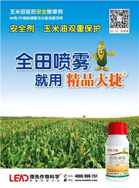 玉米苗后除草剂精品大捷