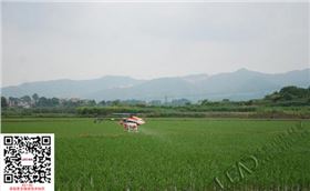 水稻除草剂施药图