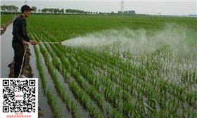 水稻除草剂施药图