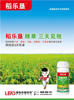 水稻直播田专用苗后除草剂稻乐垦