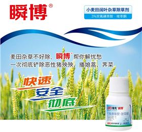 小麦田阔叶除草剂瞬博