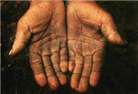 粮价低,农民受苦