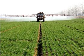 小麦田除草剂哪种最好?