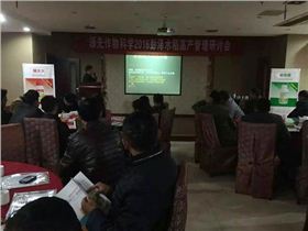 领先公司彭泽市场启动会