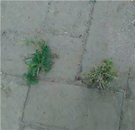 耕达使用过后对比图