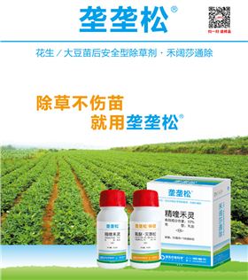 花生大豆田苗后除草剂