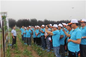 图片1.png 图片1.png