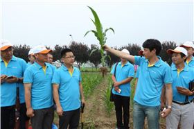 图片2.png 图片2.png