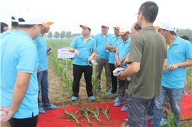 图片3.png 图片3.png