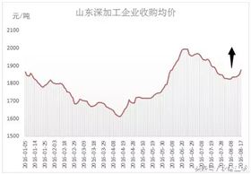 玉米价格涨了,这回能持续多久?
