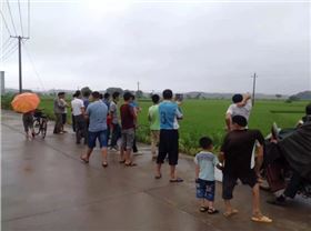 植保农业无人机飞防作业