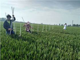 飞防作业图.jpg 飞防作业图.jpg