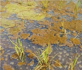 海绵.jpg 海绵.jpg