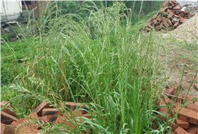 图片41.jpg 图片41.jpg