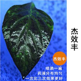 杰效丰一次喷雾效果