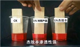 CK，竞品，杰效丰进行木条渗透试验