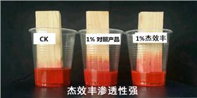 CK，竞品，杰效丰进行木条渗透试验