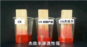CK，竞品，杰效丰进行木条渗透试验