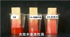 CK，竞品，杰效丰进行木条渗透试验