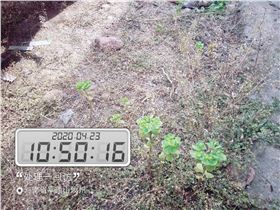 试验后(试验组一) 试验后(试验组一)