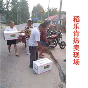 寿县农资店门口