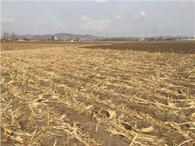 秸秆还田 秸秆还田