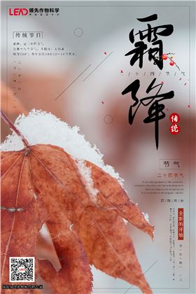 霜降.jpg 霜降.jpg