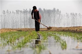 蒙头水.jpg 蒙头水.jpg