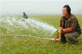 返青水.jpg 返青水.jpg