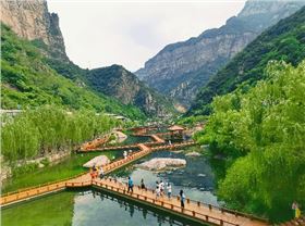 图片4.png 图片4.png