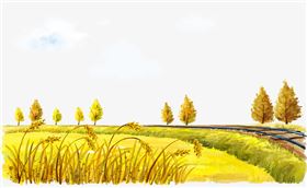 水稻.png 水稻.png