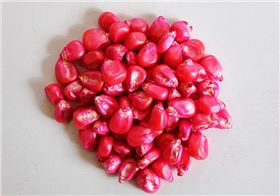 种衣剂.png 种衣剂.png