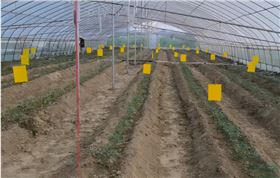 大棚种植.png 大棚种植.png