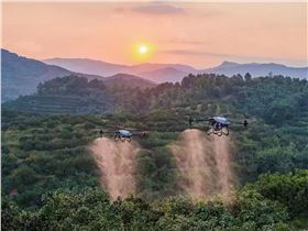 T40无人机 T40无人机