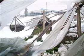 大棚遇到大雪怎么办 大棚遇到大雪怎么办