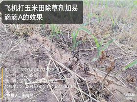 飞防助剂 飞防助剂