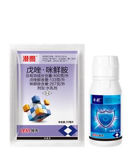 小麦茎基腐病 小麦茎基腐病