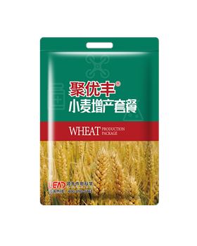 小麦增产 小麦增产