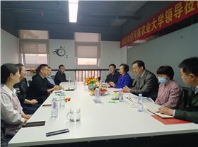 领先化工 领先化工