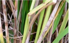 dd0333076b4c4eeb9093d712c418bad7_11.png dd0333076b4c4eeb9093d712c418bad7_11.png