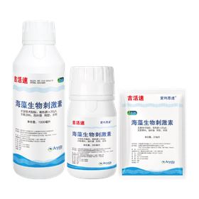 韭菜种植 韭菜种植