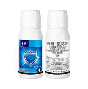 辣椒炭疽病 辣椒炭疽病