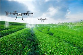 飞防助剂进口助剂-领先化工助剂