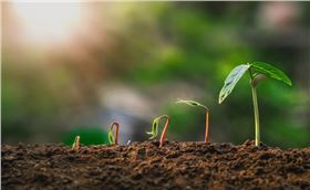 植物营养调节剂厂家水溶肥叶面肥-领先化工植物营养