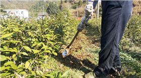 大田除草剂除草剂厂家除草剂注意事项-领先化工除草剂
